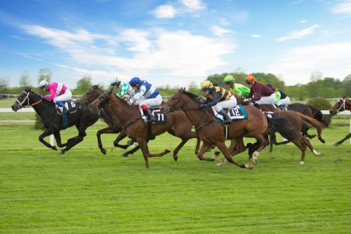 Apostas em corridas de cavalo, Como apostar em corridas de cavalo, Estratégias de apostas em corridas de cavalo